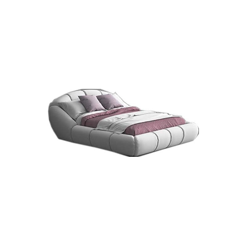 R2R Furniture Millenium Queen Size Standard Bed With Mattress