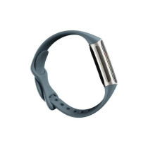 Fitbit Charge 5 Advanced Fitness + Health Tracker with Tools for Heart Health Stress Management Steel Blue/Platinum