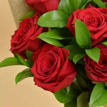 FNP 12 Valentines Red Roses Bouquet