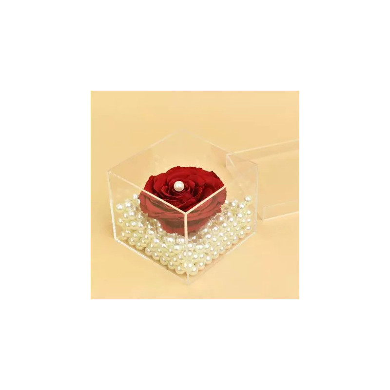 Valentine Special Pearls and Forever Love