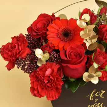 FNP For You My Forever