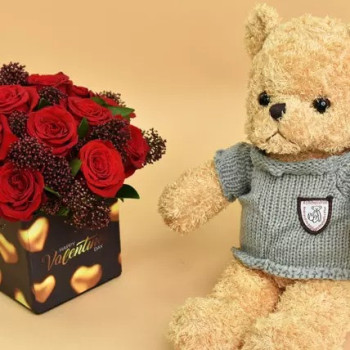 Valentines Vibes And Teddy Bear