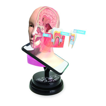 EASTCOLIGHT - Ar Teeth Professional Model