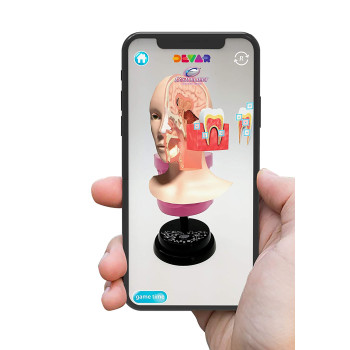 EASTCOLIGHT - Ar Teeth Professional Model