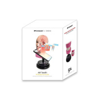 EASTCOLIGHT - Ar Teeth Professional Model