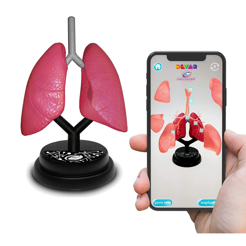 EASTCOLIGHT AR Respiratory Professional Model