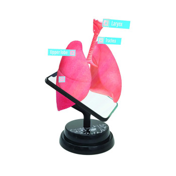EASTCOLIGHT AR Respiratory Professional Model