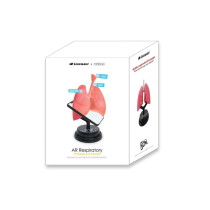 EASTCOLIGHT AR Respiratory Professional Model