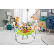 Fisher-Price Roarin' Rainforest Jumperoo, Infant Activity Center Chm91