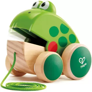 Hape Frog Pull Along....