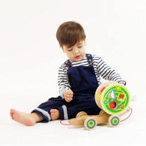 Hape Walk A Long Snail Pull Toy |Award Winning Toddler Wooden Push And Pull Toy With Removable Color Coded Shape Sorter Shell, Fun Educational Toy For Kids