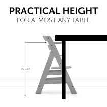 Hauck Wooden Highchair Alpha + / Adjustable For Children From 6 Months Up To 90 Kg / 5-Point Harness Included / Usable From Birth In Combination With Newborn Set (Not Included) / Grey (Pack Of 1)