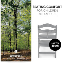 Hauck Wooden Highchair Alpha + / Adjustable For Children From 6 Months Up To 90 Kg / 5-Point Harness Included / Usable From Birth In Combination With Newborn Set (Not Included) / Grey (Pack Of 1)