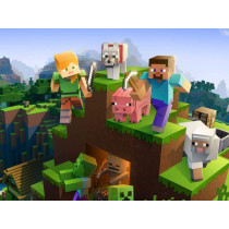 Playstation MINECRAFT STARTER PACK New Arrival (PS4)