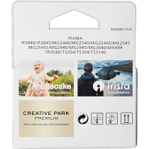 Canon Canon Pg-445 Pixma Fine Cartridge, Black & Canon Cl-446 C/M/Y Colour Ink Cartridge