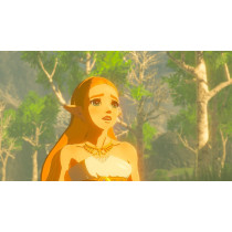 Nintendo The Legend Of Zelda Breath Of The Wild Switch Video Game ( Switch)