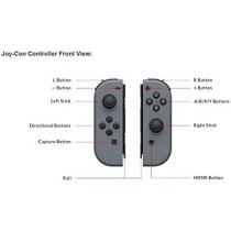 Nintendo Joy-Con (L/R) - Gray