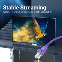 Vention Cat.6 UTP Patch Cable IBE series copper-clad Aluminum 1000Mpbs 250MHz Aluminum Foil PVC Jacket (1 M, Cat.6 UTP, Purple)