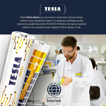 Tesla D Battery Gold+ Alkaline - Plus Extra Energy Batteries Blister Foil LR20/1.5V Pack of 2