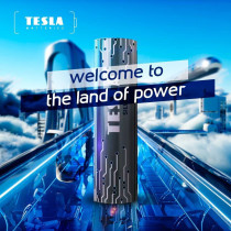 Tesla D Battery Silver+ Alkaline - Plus Extra Energy Batteries Blister Foil LR20/1.5V Pack of 2