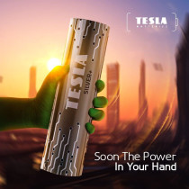 Tesla D Battery Silver+ Alkaline - Plus Extra Energy Batteries Blister Foil LR20/1.5V Pack of 2