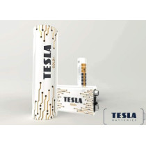 Tesla AA Battery Gold+ Alkaline - Plus Extra Energy Blister Foil LR6/1.5V Pack of 4