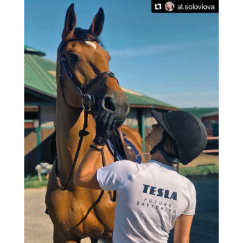 Tesla AA Battery Silver+ Alkaline - Plus Extra Energy Blister Foil LR6/1.5V Pack of 4