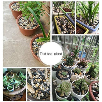 BUY4LESS - Decorative Stone 500 Gram for Fish Aquarium and Flower, Decor Pebbles, for Outdoor & Indoor Home Garden Decoration, Arts & Crafts Projects, Party Favors (500 Gram, Natural)