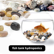 BUY4LESS - Decorative Stone 500 Gram for Fish Aquarium and Flower, Decor Pebbles, for Outdoor & Indoor Home Garden Decoration, Arts & Crafts Projects, Party Favors (500 Gram, Natural)