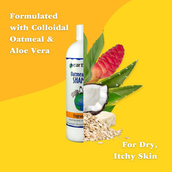 Earthbath Natural Oatmeal And Aloe Shampoo Fragrance Free 16Oz