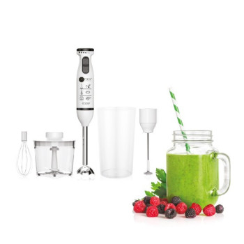 AFRA Japan Hand Blender Set, AF-14600BLCR (600 W)