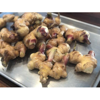 Aiyara Pickled Ginger Slice In Brine