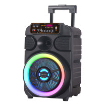 Sonashi 8-Inch Rechargeable Bluetooth Trolley Speaker SPS-8012RT
