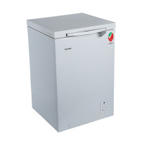 SONASHI Cfc Free Chest Freezer 100 Litres, Silver (SCF-152)