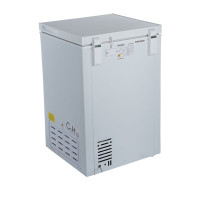 SONASHI Cfc Free Chest Freezer 100 Litres, Silver (SCF-152)