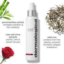 Dermalogica Antioxidant Hydramist 150 ml