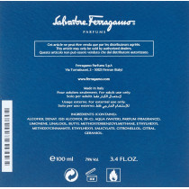 Salvatore Ferragamo Free Time EDT 100ml