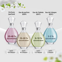 Salvatore Ferragamo Free Time EDT 100ml