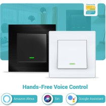 UK PLUS 2-Gang Wifi Push Button Wall Switch With Amazon Alexa, Google Home Assistant And Siri