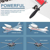 LBKR Tech Remote Control Plane, 2.4Ghz 2 Channel