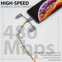 Promate 6-In-1 Multi Charging Cable, Lightning, USB-C, Micro USB Connectors to USB-A and USB-C, PentaPower Grey