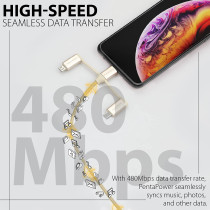Promate 6-In-1 Multi Charging Cable, Lightning, USB-C, Micro USB Connectors to USB-A and USB-C, PentaPower Gold