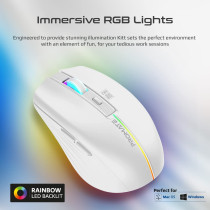 Promate Wireless Mouse, RGB Modes and 2.4Ghz Wireless Transmission for MacBook Air, XPS 13, Kitt White