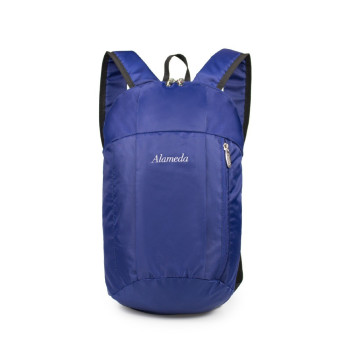 Almeda Travel lite Diaper Bag - Navy Blue