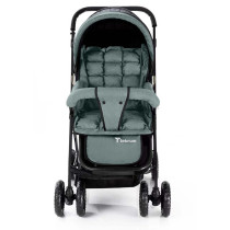 Teknum Reversible Look at Me Stroller - Dark Grey For 0-3Years, Unisex (TK_RLM_DGY)