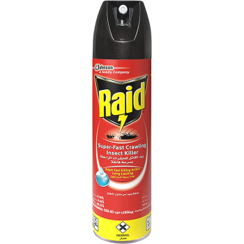 Raid Ant & Roach Killer, 300ML