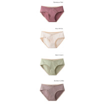 Sunveno Maternity Seamless Low Waist Briefs - Set of 4 - L