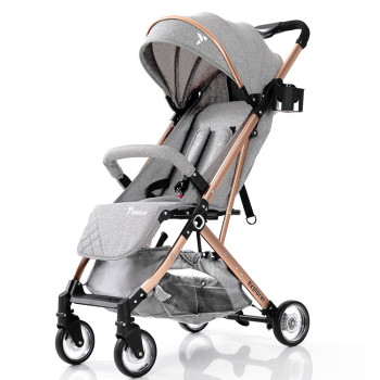 Teknum Explorer Travel Stroller-Grey