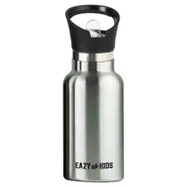 Eazy Kids Stainless Steel Water Bottle 350ml For All Ages, Unisex (EZ_SSWB_350SS)