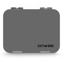 Eazy Kids Bento Boxes wt Insulated Lunch Bag Combo - Grey For All ages, Unisex (EZ_CBLB01_GY)